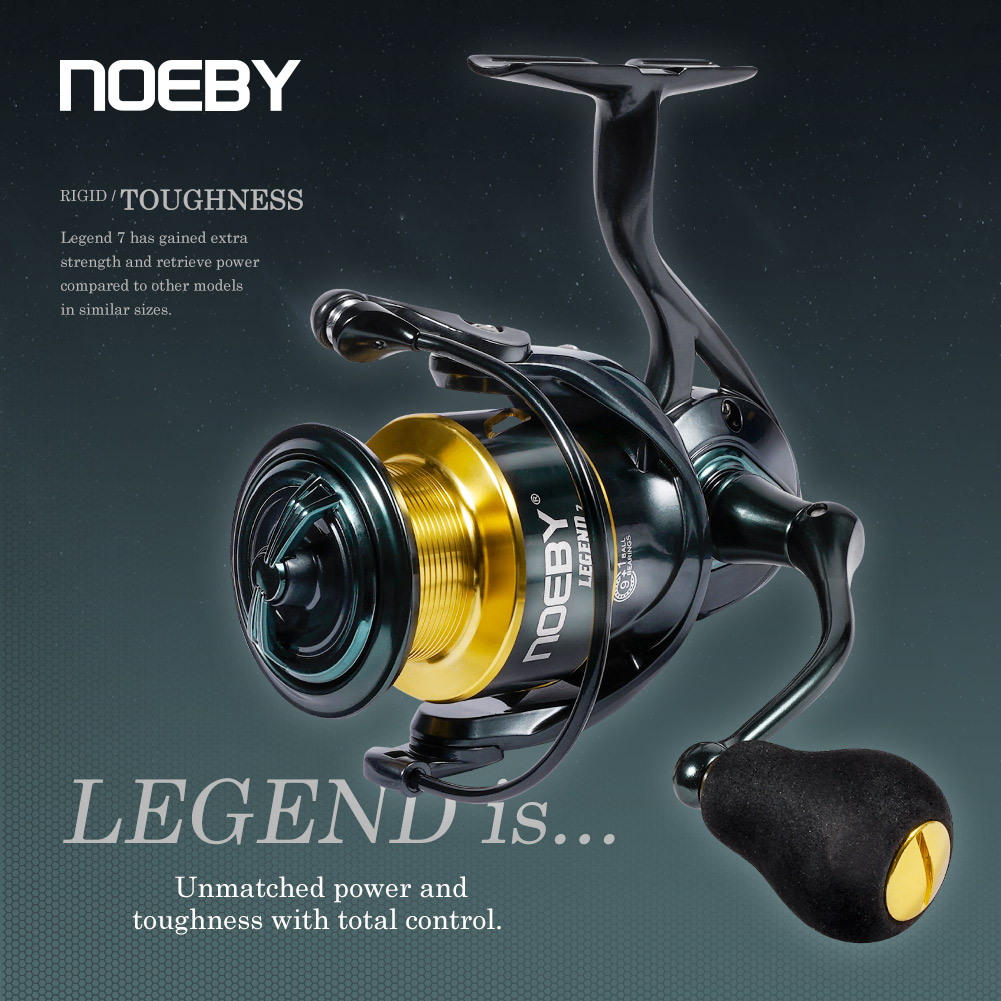Máy câu Noeby, các loại 3000,  - đánh giá và giá Daiwa Reel Bg