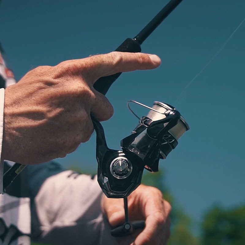 Máy câu cá DAIWA TATULA LT 202 - đánh giá và giá Daiwa Reel Fuego
